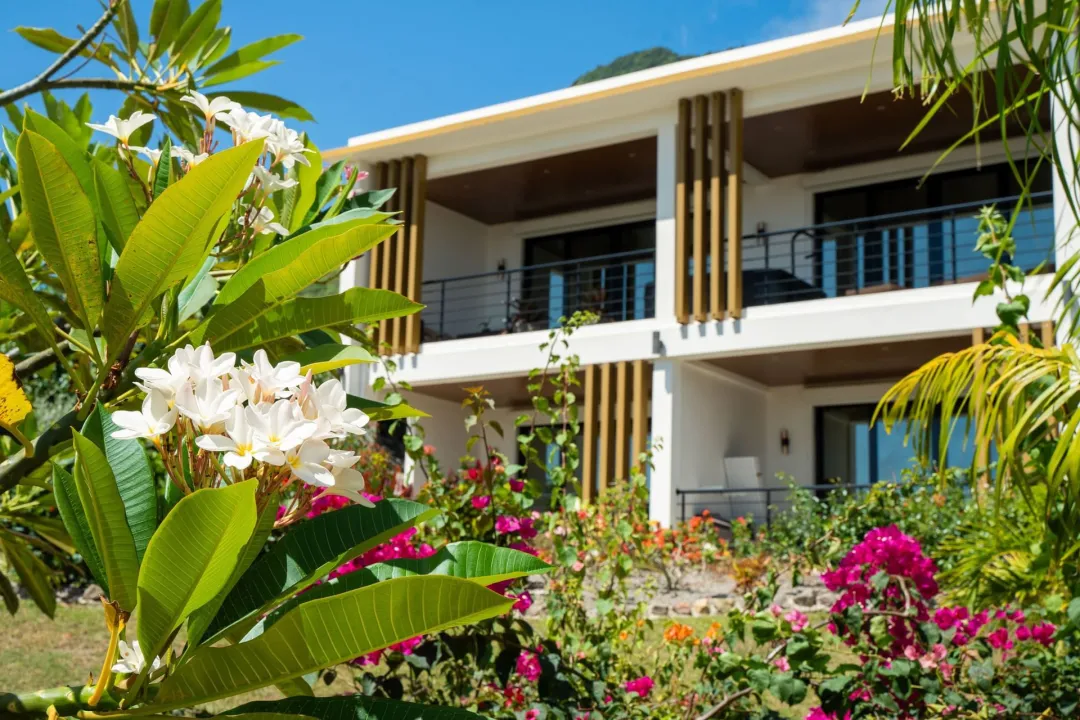 Golden Rock Dive and Nature Resort - Deluxe Ocean View Room - Exterior Layout