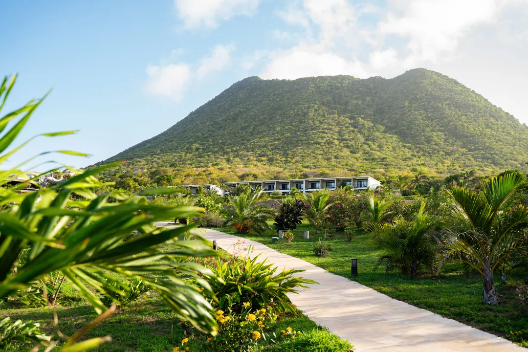 Golden Rock Dive and Nature Resort - Garden with Quill