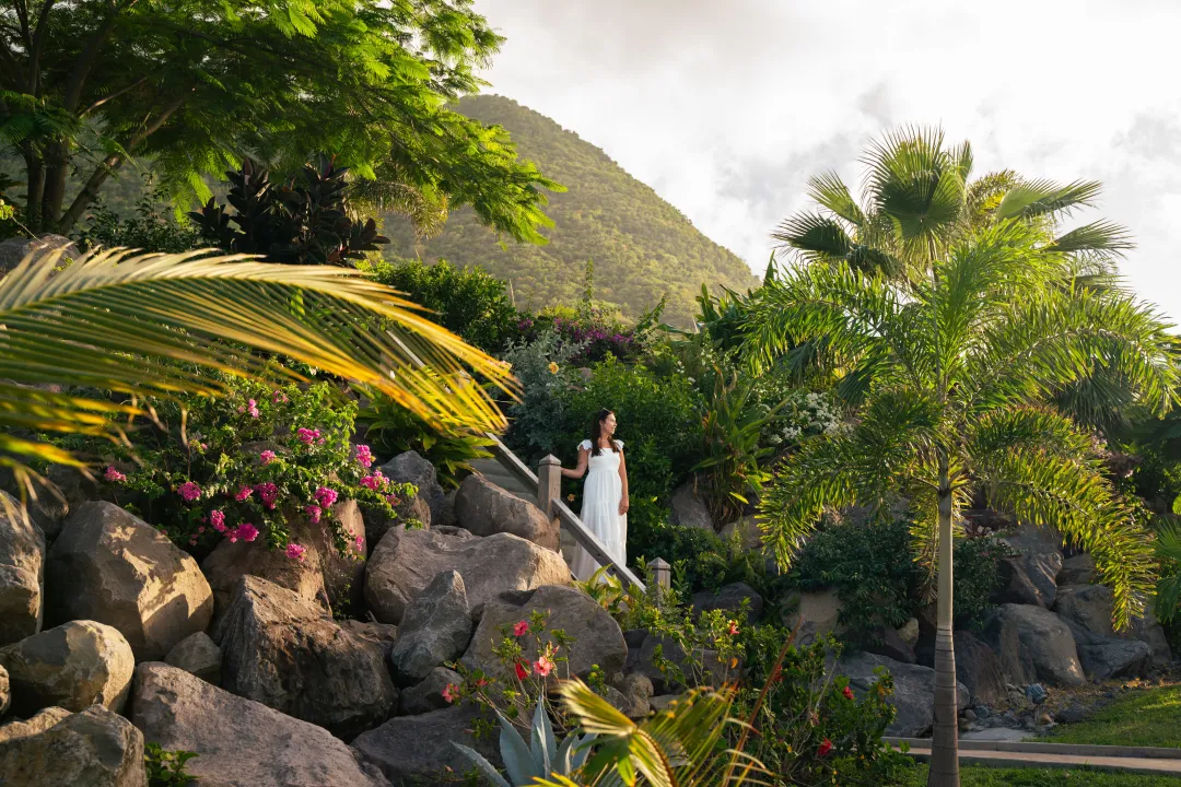 Golden Rock Dive and Nature Resort - Garden