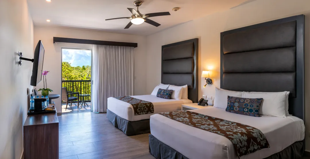 Deluxe Room - Twin Bed with View