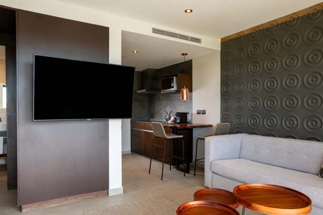 Junior Suite - Seating Aeria