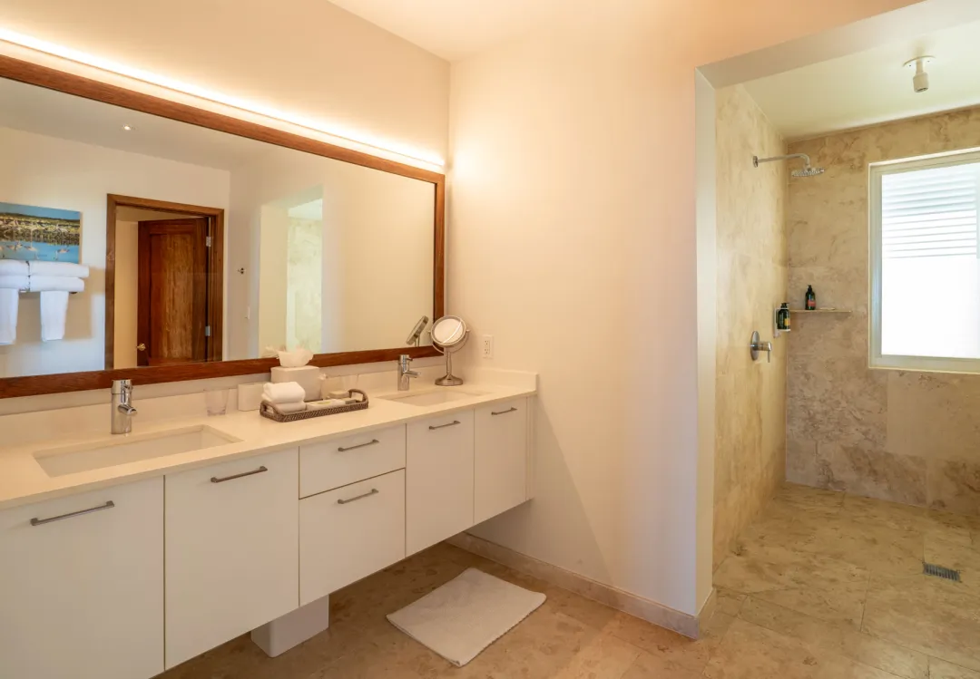 One Bedroom Oceanview Suite - Bathroom