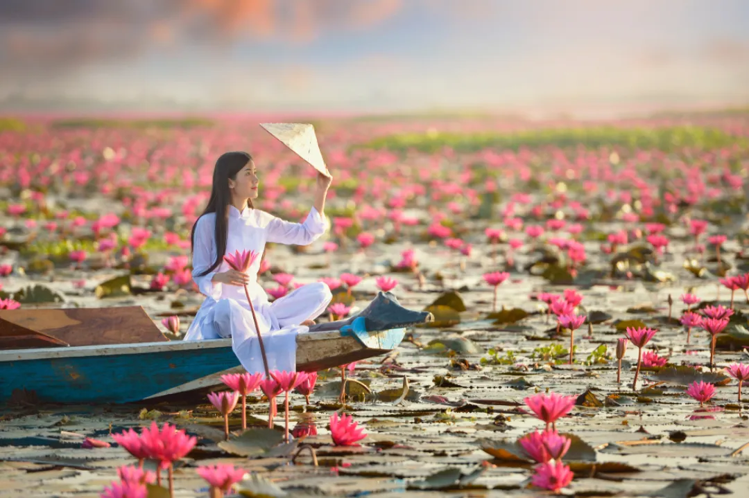 Hoi An -  Lotus Pond