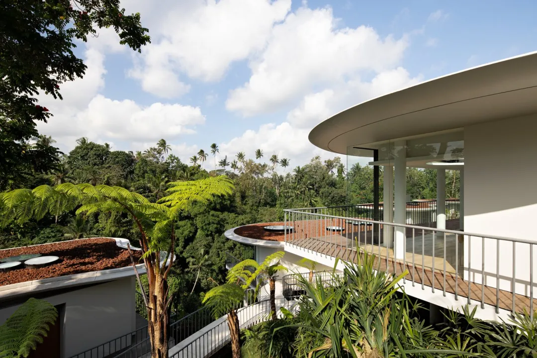 Bumi Kinar Ubud - Terrace View