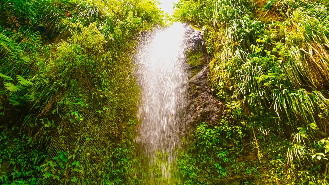 Botanical Gardens in Saint Lucia
