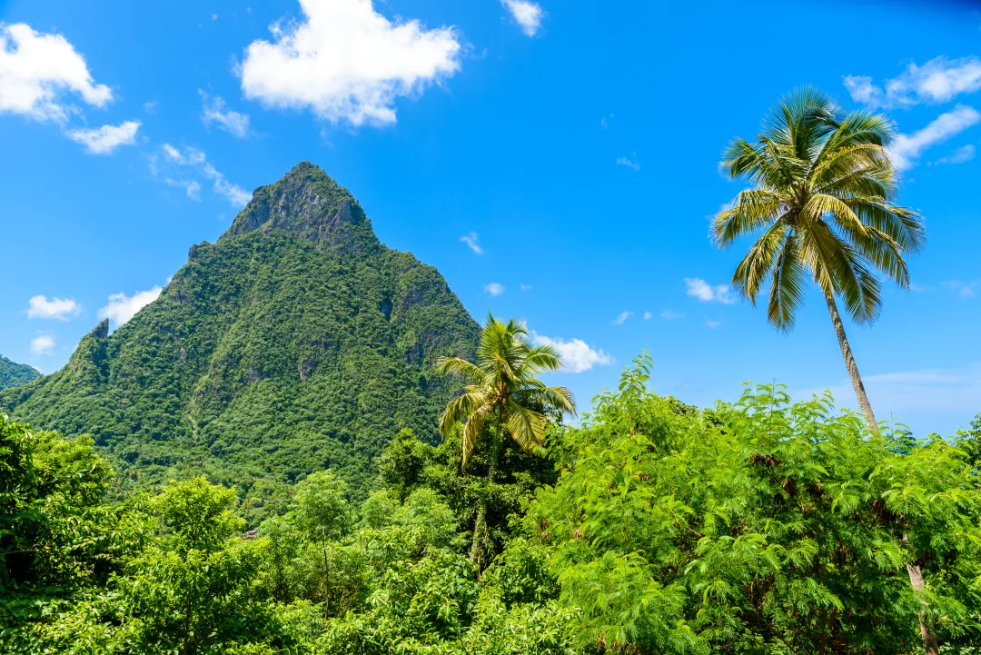 Gros and Petit Pitons near village 