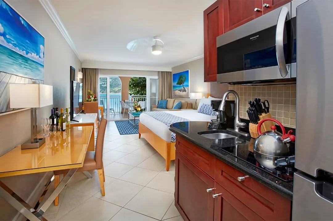 Studio Suite - Bedroom with View