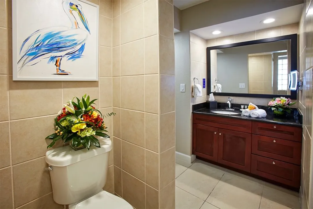 Studio Suite - Bathroom