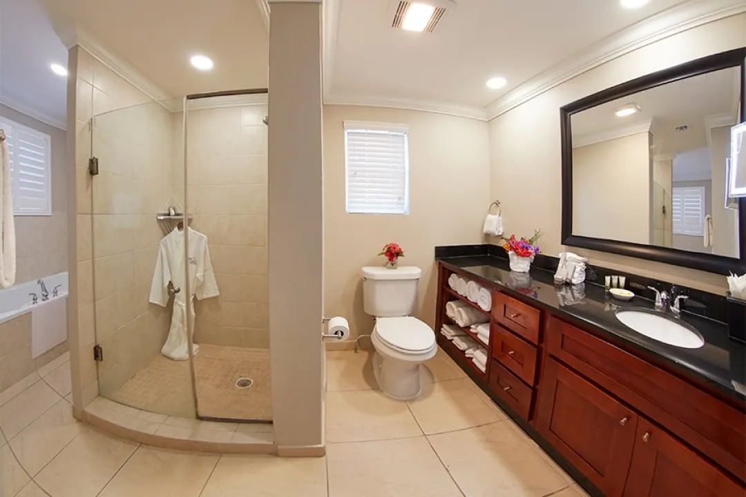 One Bedroom Suite - Bathroom