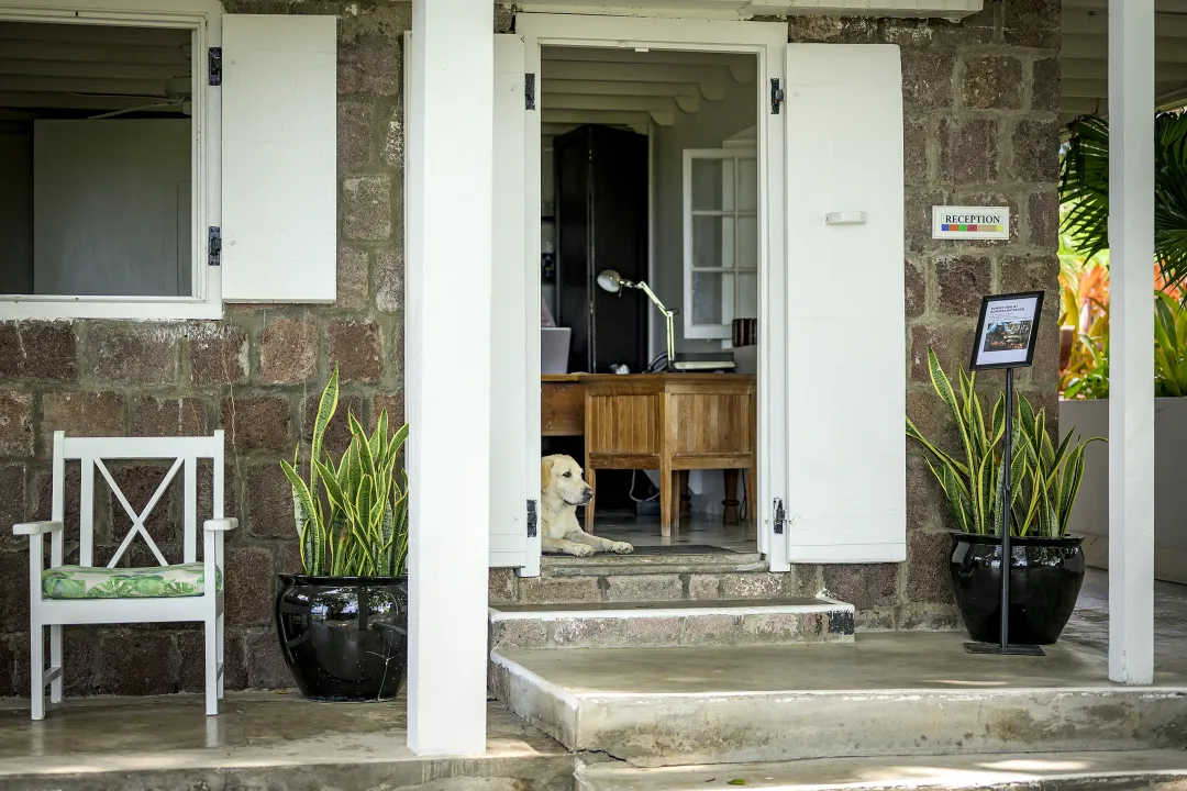 Montpelier Plantation Reception Porch