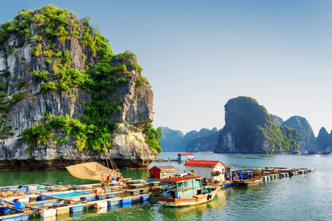 Floating fishing village in the Halong Bay