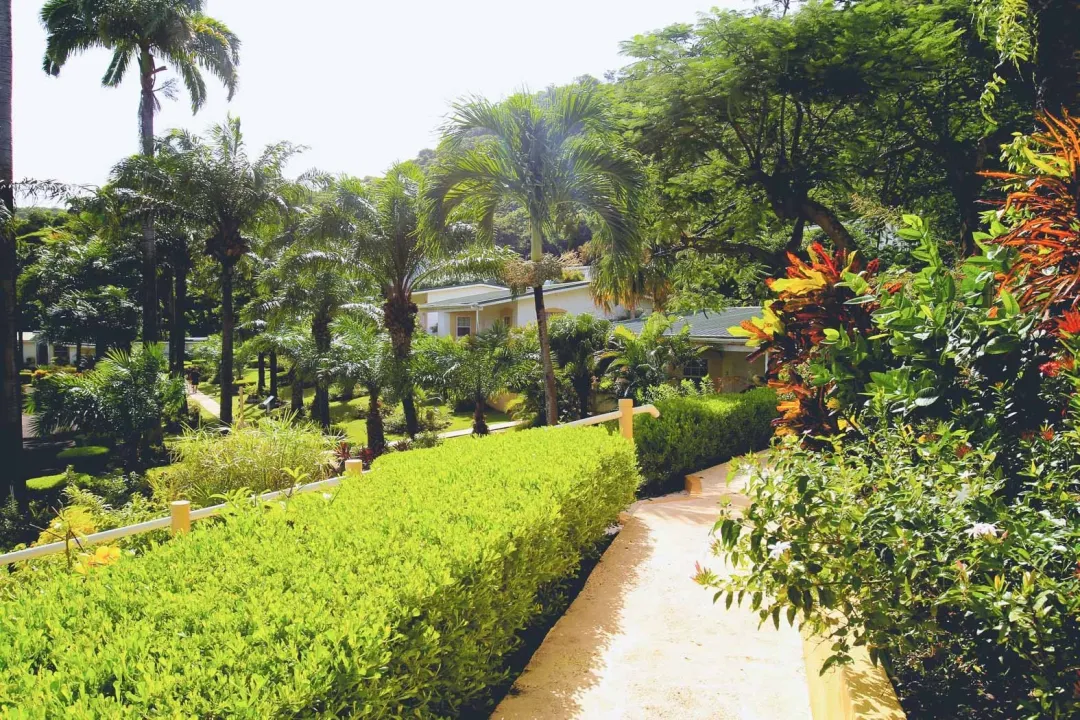 Blue Horizons Garden Resort - Garden View