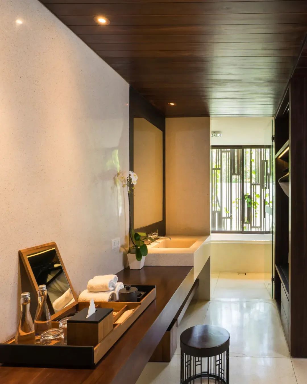 Deluxe Suite -Bathroom View