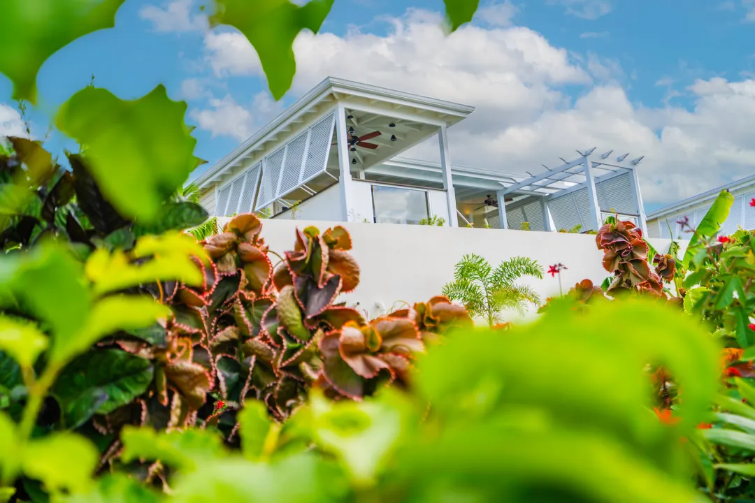 Hammock Cove - Signature Villa - Exterior
