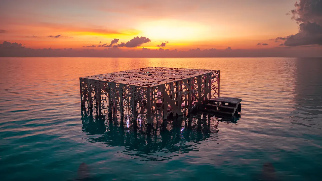 Fairmont Sirru Fen Fushi - Coralarium