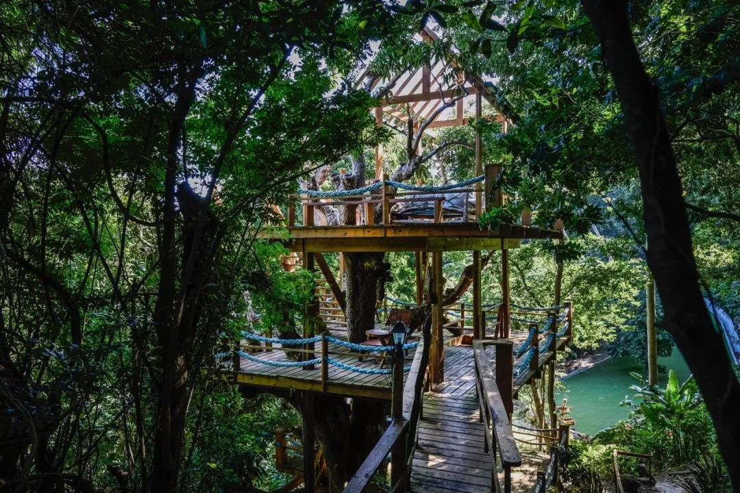 Ladera Resort -Tree House