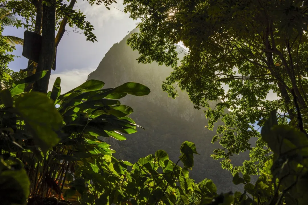 Ladera Resort - Mountain View