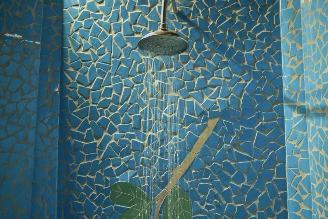 Hilltop Dream Suite - Shower