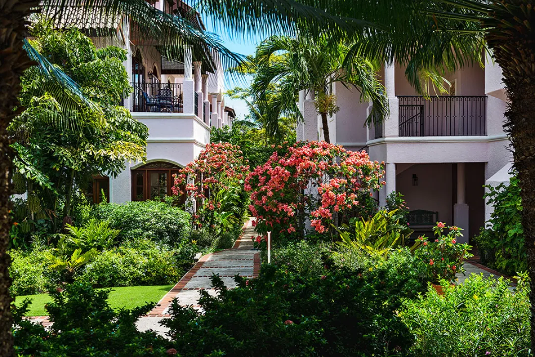 Garden View Room - Garden View