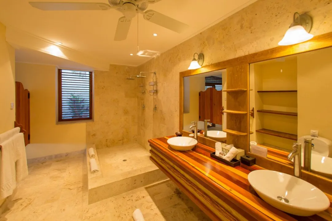 Standard Room - Bathroom