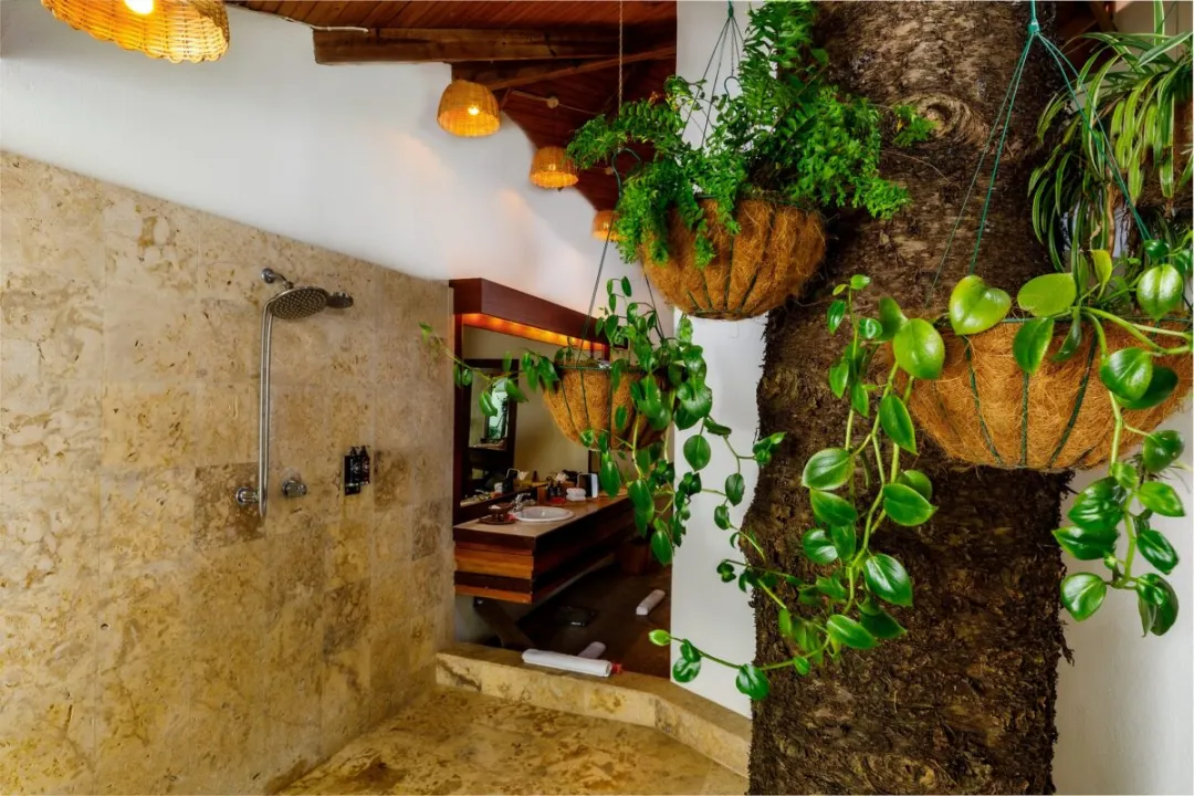 Hillside Deluxe Room -Shower