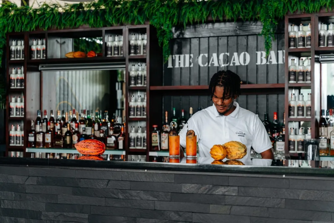 The Rabot Hotel - The Cacoa Bar