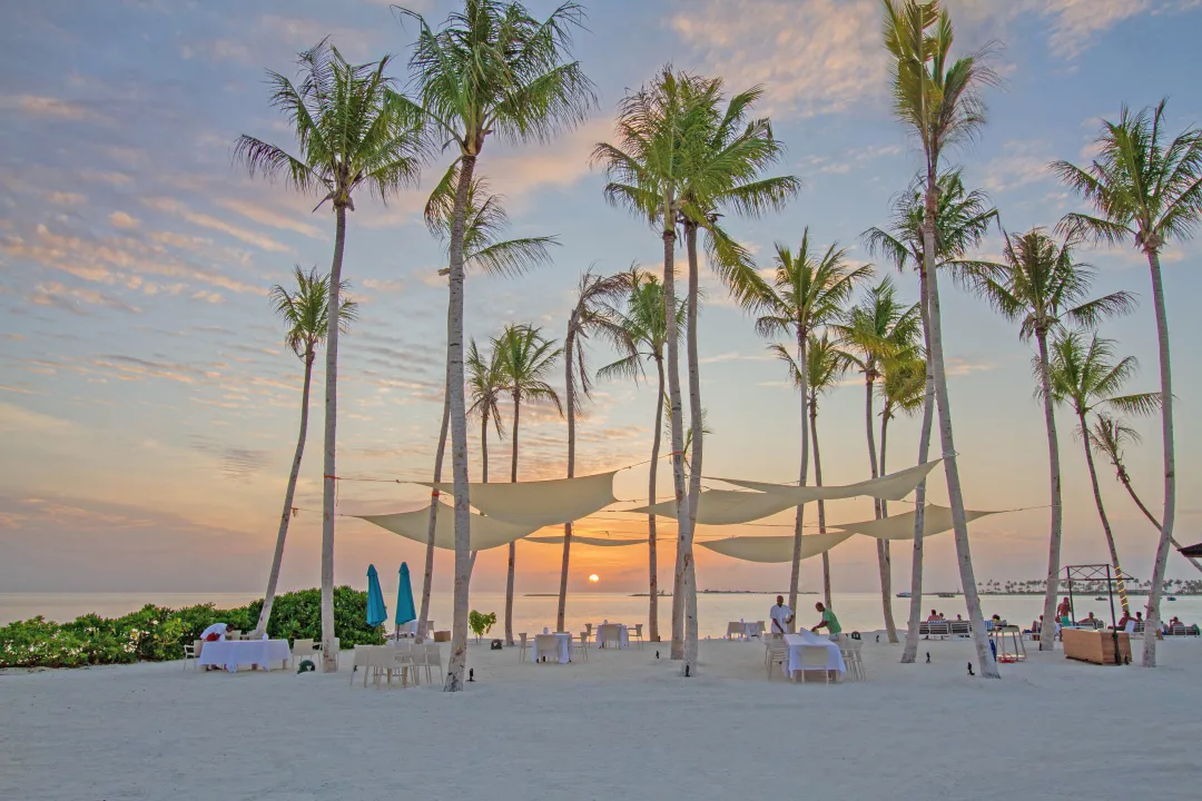 Joy Island - Palm Beach
