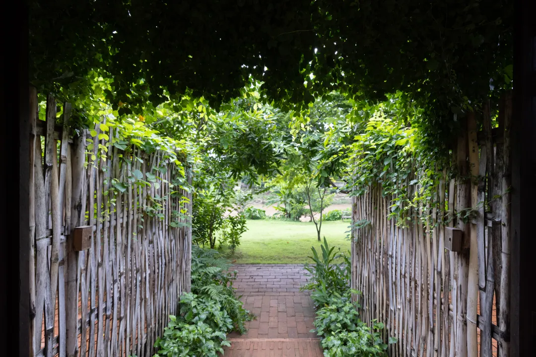 Raya Heritage  - Garden