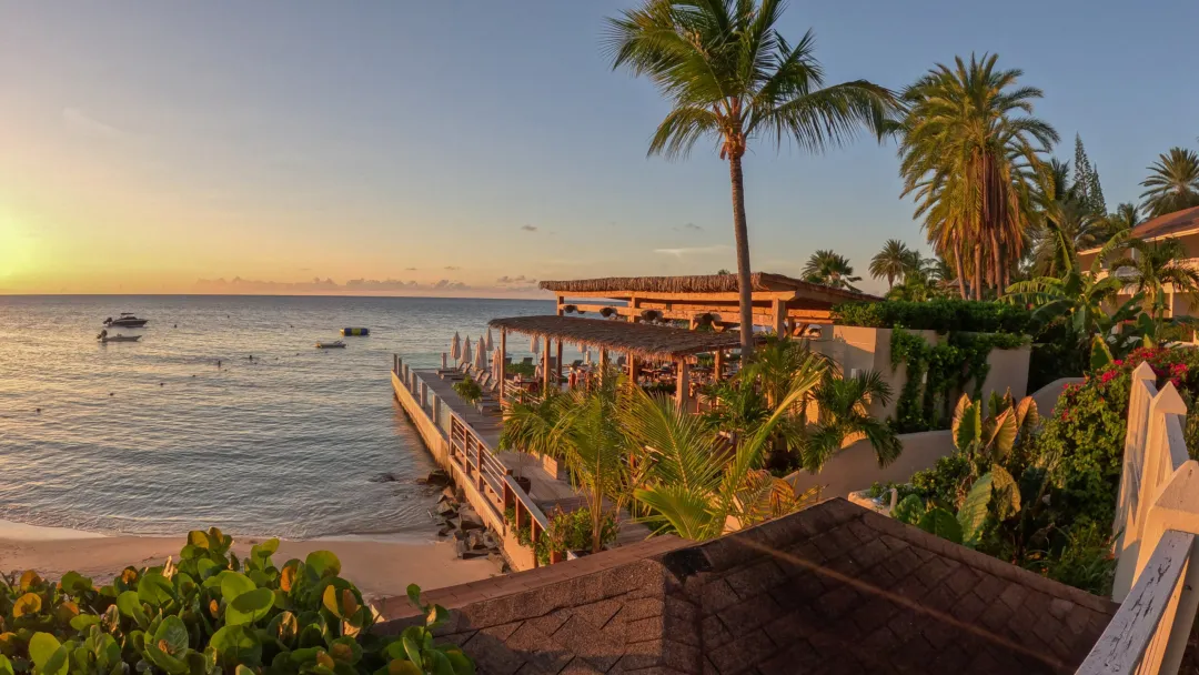 The Palm Restaurant
