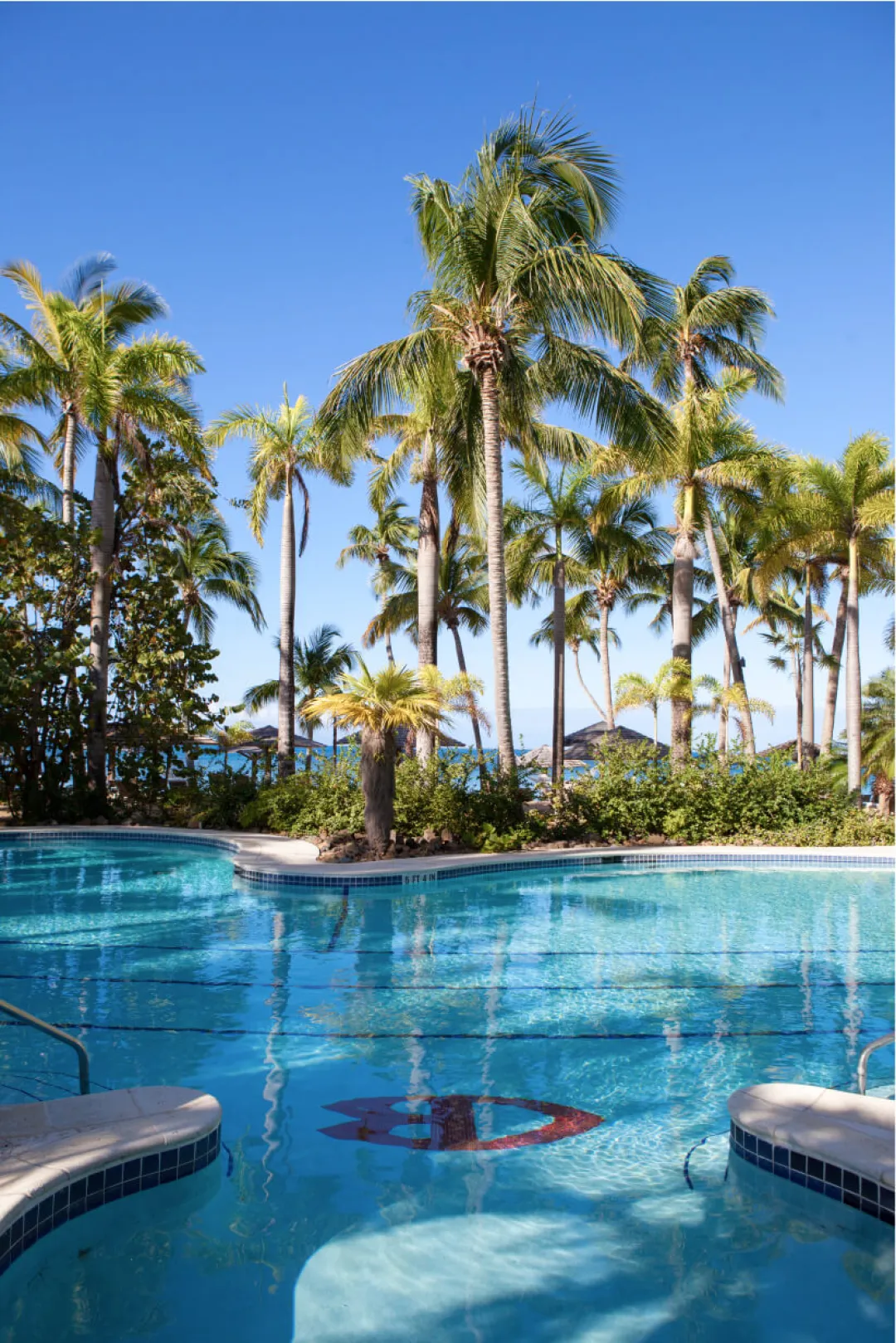 Curtain Bluff - Pool View