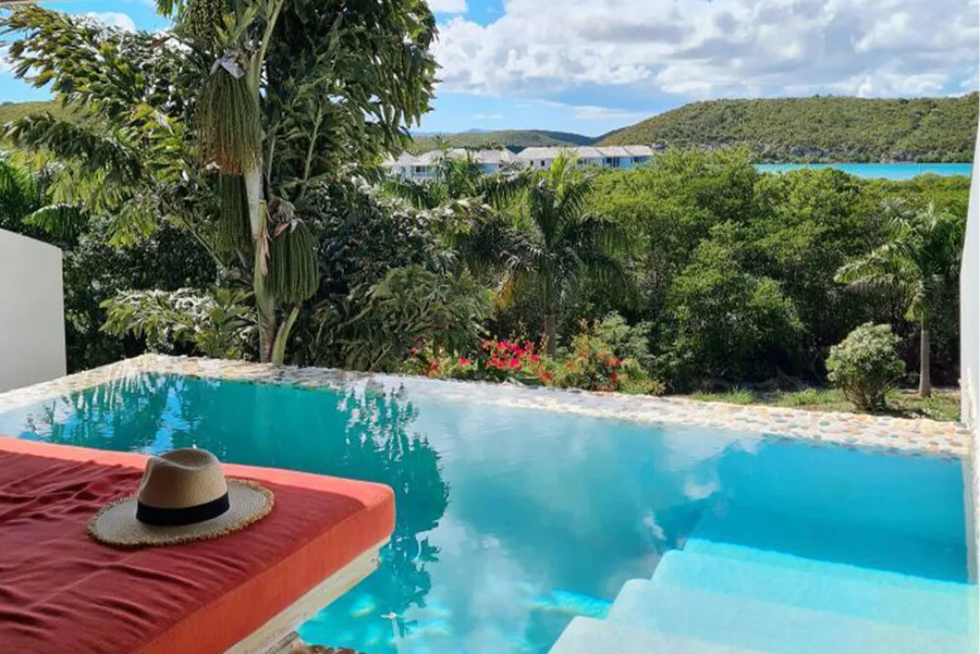 Deluxe Pool Suite - Pool with Garden View