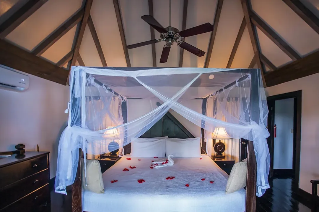 Standard View - Bedroom View