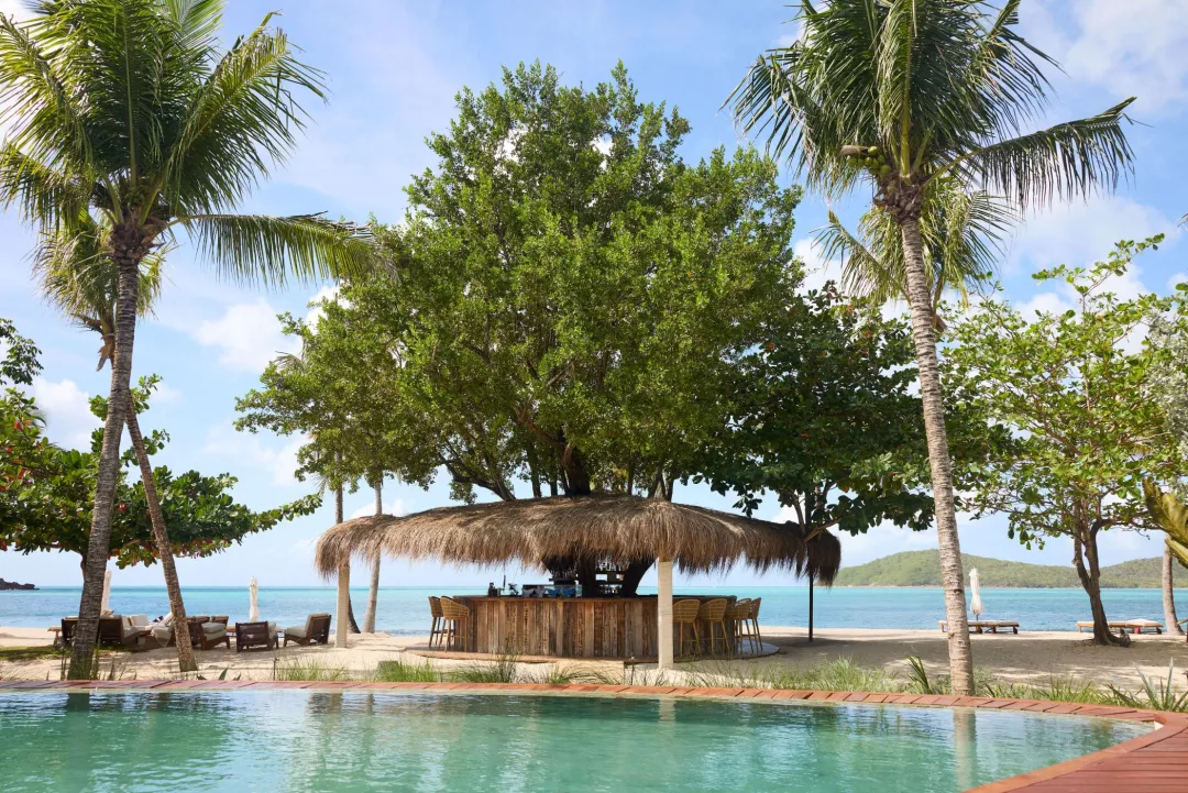 Tree Bar