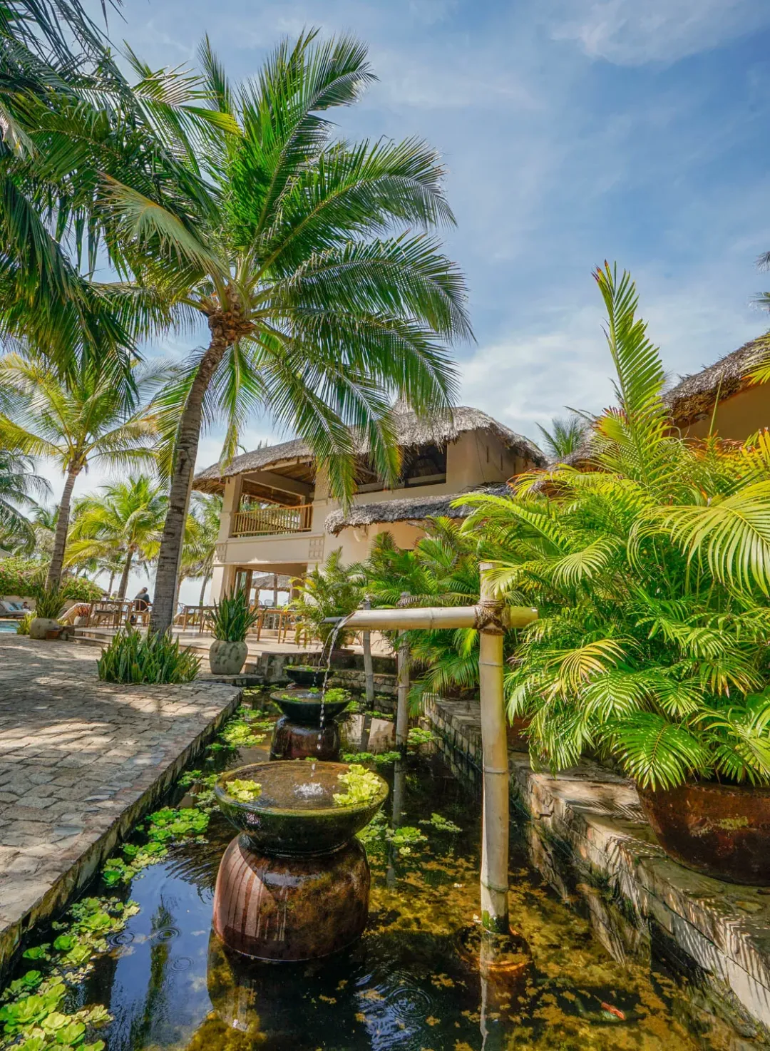 Sailing Club Mui Ne - Garden