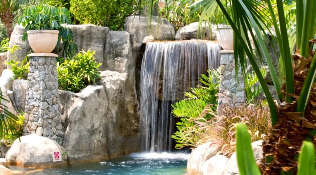 Centara Beach Resort Phuket - Garden