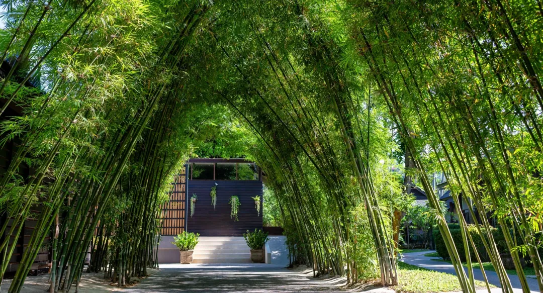 Nh Collection Samui Peace Resort - Garden View