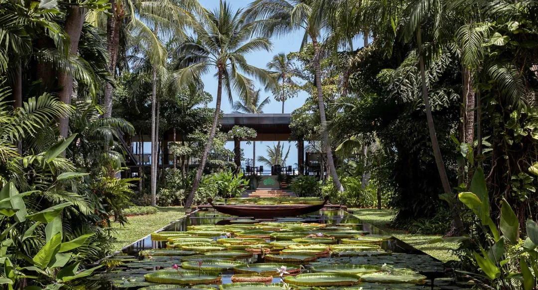 Anantara Bophut Koh Samui Resort - Lily Ponds
