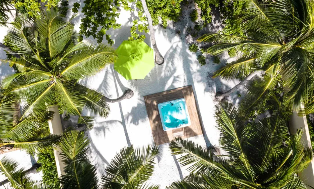 Emerald Beach Resort - Coconut Trees