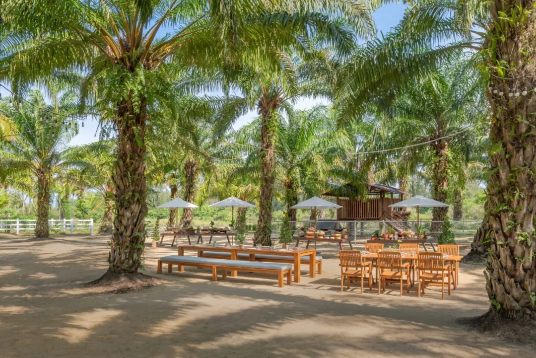 JW Marriott Khao Lak Resort - Garden View