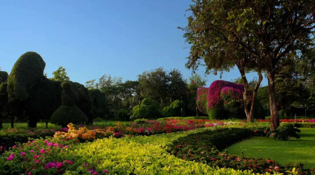 Centara Grand Beach Resort and Villas Hua Hin - Garden