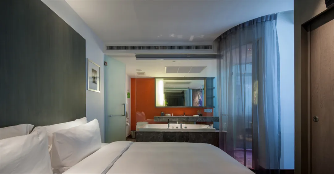 Full Spectrum Suite - Bedroom View