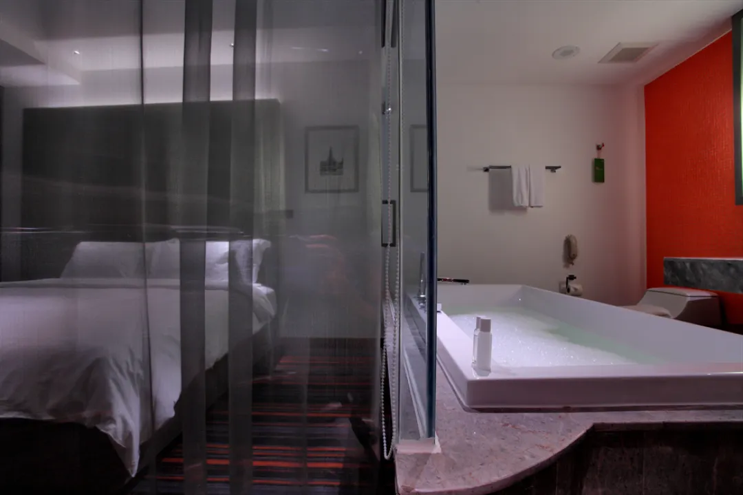 Full Spectrum Suite - Bedroom