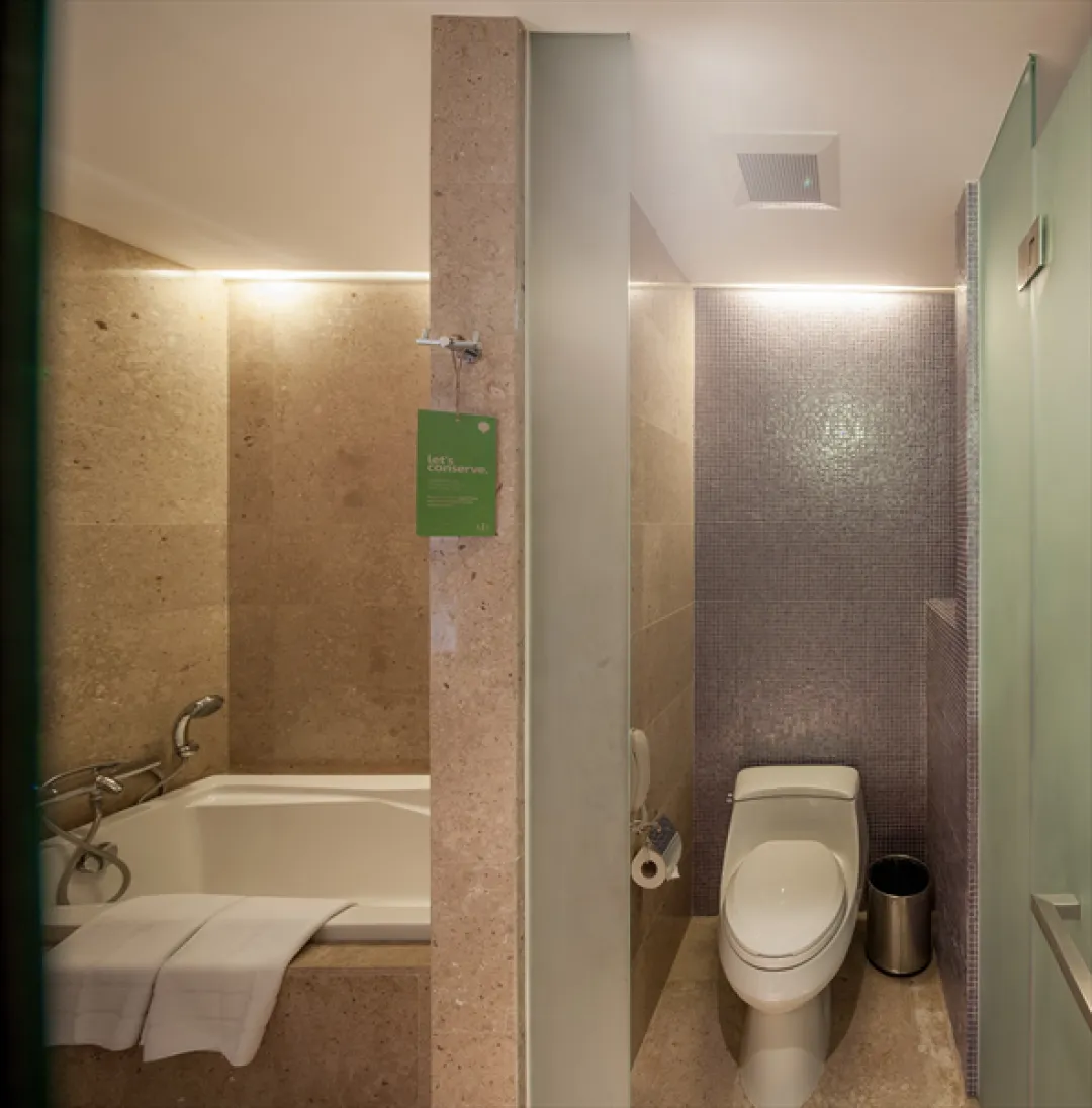 Triple Luxe Suite - Bathroom