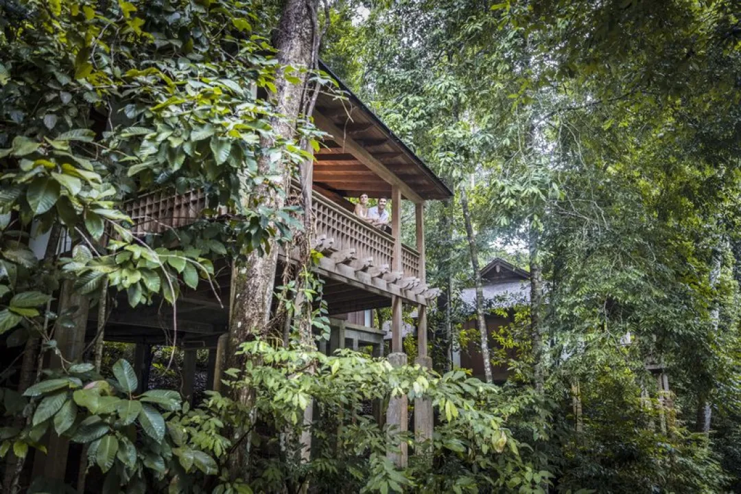 Rainforest Villa - Villa Over View