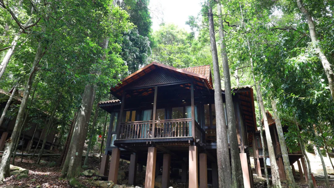 Rainforest Studio -Villa Over View