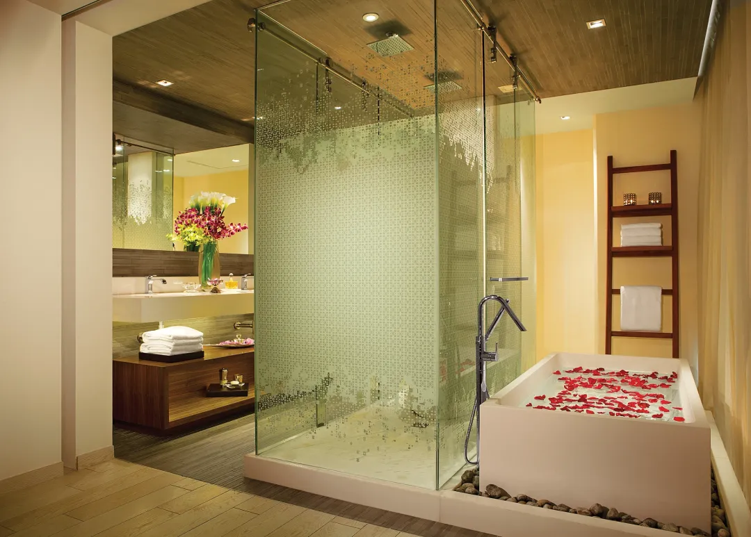 Master Suite Ocean View - Bathroom