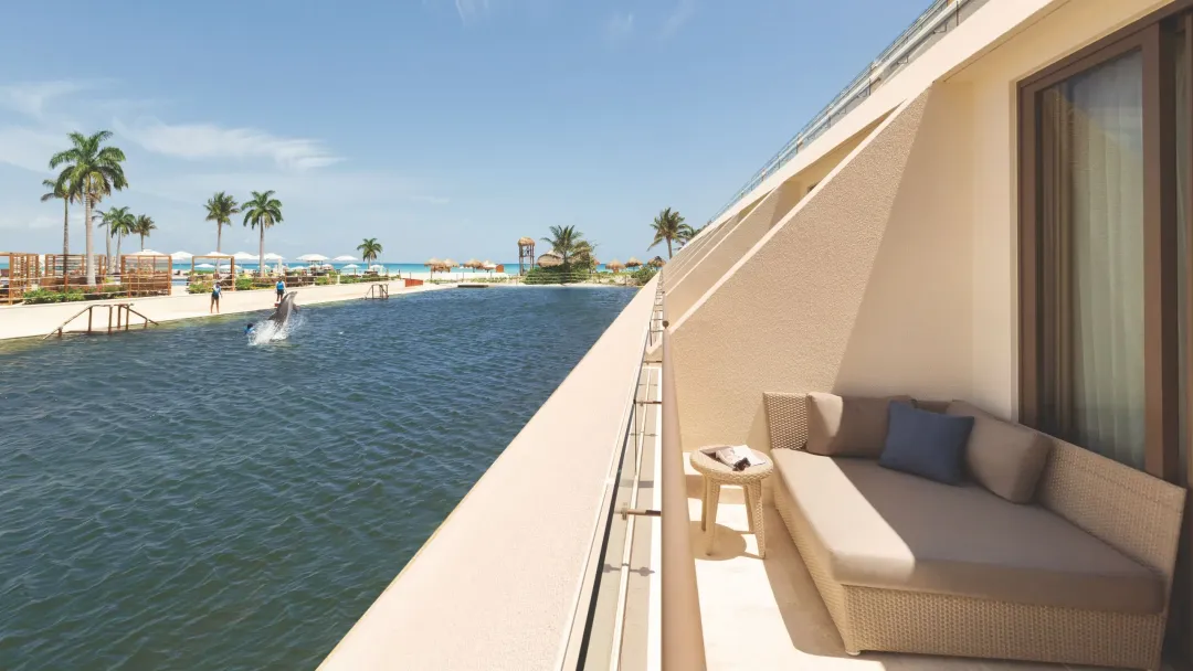 Dolphin View Master Room -Balcony Lounge with Dolphin View