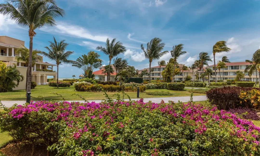 Superior Deluxe Garden View - Garden View