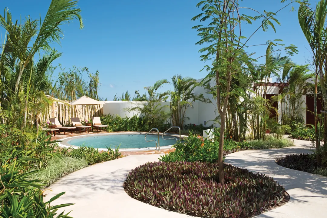 Secrets Playa Mujeres Golf & Spa Resort -Spa Pool