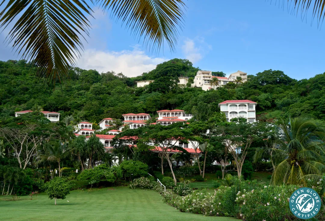 Mount-Cinnamon-Grenada-Greenary